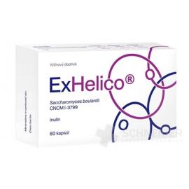 ExHelico
