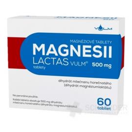 MAGNESII LACTAS VULM 500 mg