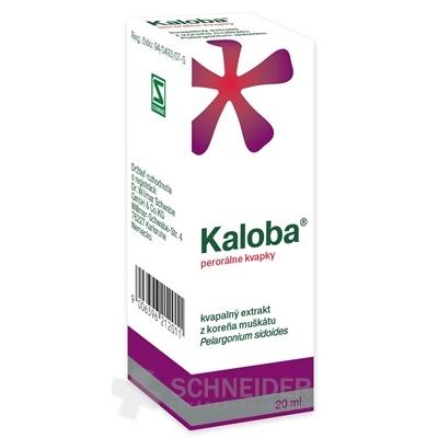 Kaloba