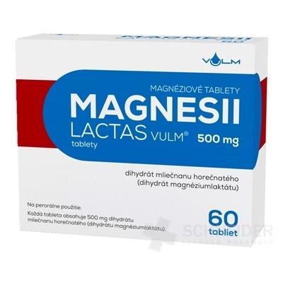 MAGNESII LACTAS VULM 500 mg